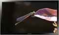 Moniteur plasma 3D Panasonic TH-50PH30ER - 50 pouces, résolution Full HD, technologie NeoPDP_0
