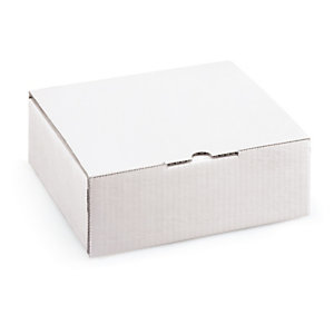BOÎTE POSTALE CARTON BLANCHE AVEC CALAGE MOUSSE RAJA 26X16X6 CM