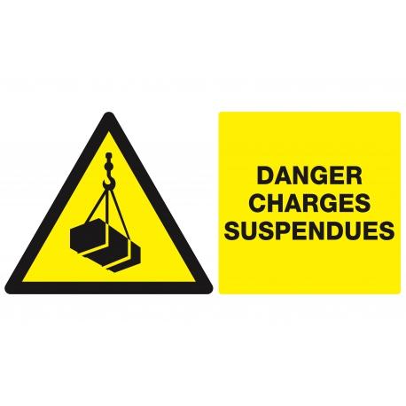 Danger, charges suspendues 330x200mm TALIAPLAST | 621307_0