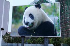 Écran géant LED extérieur fixe - Pitch 2mm - Luminosité éclatante et robustesse_0