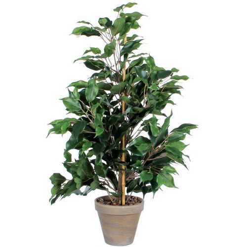 PLANTE ARTIFICIELLE FICUS EXOTICA VERT HAUTEUR 65 CM - VEPABINS