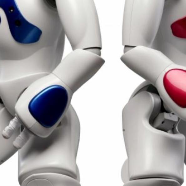 Robot humanoïde autonome et programmable  très utile dans le milieu de la santé - Nao_0