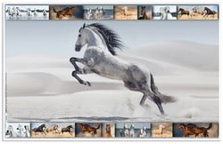 SOUS-MAIN 'ANIMAUX D'AFRIQUE', (L)550 X (H)350 MM - LOT DE 4