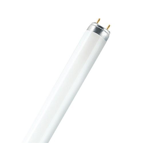 TUBE FLUORESCENT T8 L 58W 4000K 1542MM GRADABLE OSRAM