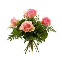 5 ROSES ROSE PASTEL