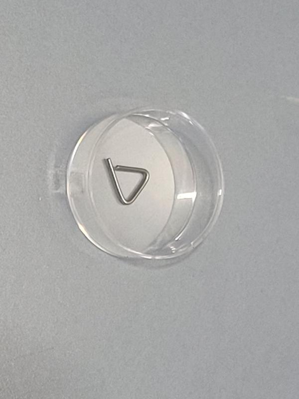 Poids d'étalonnage ZWIEBEL 100mg classe F1 INOX_0