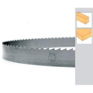 LAME DE SCIE À RUBAN BOIS - LONGUEUR 1600MM X LARGEUR 10MM - PAS DE LA DENTURE 6MM