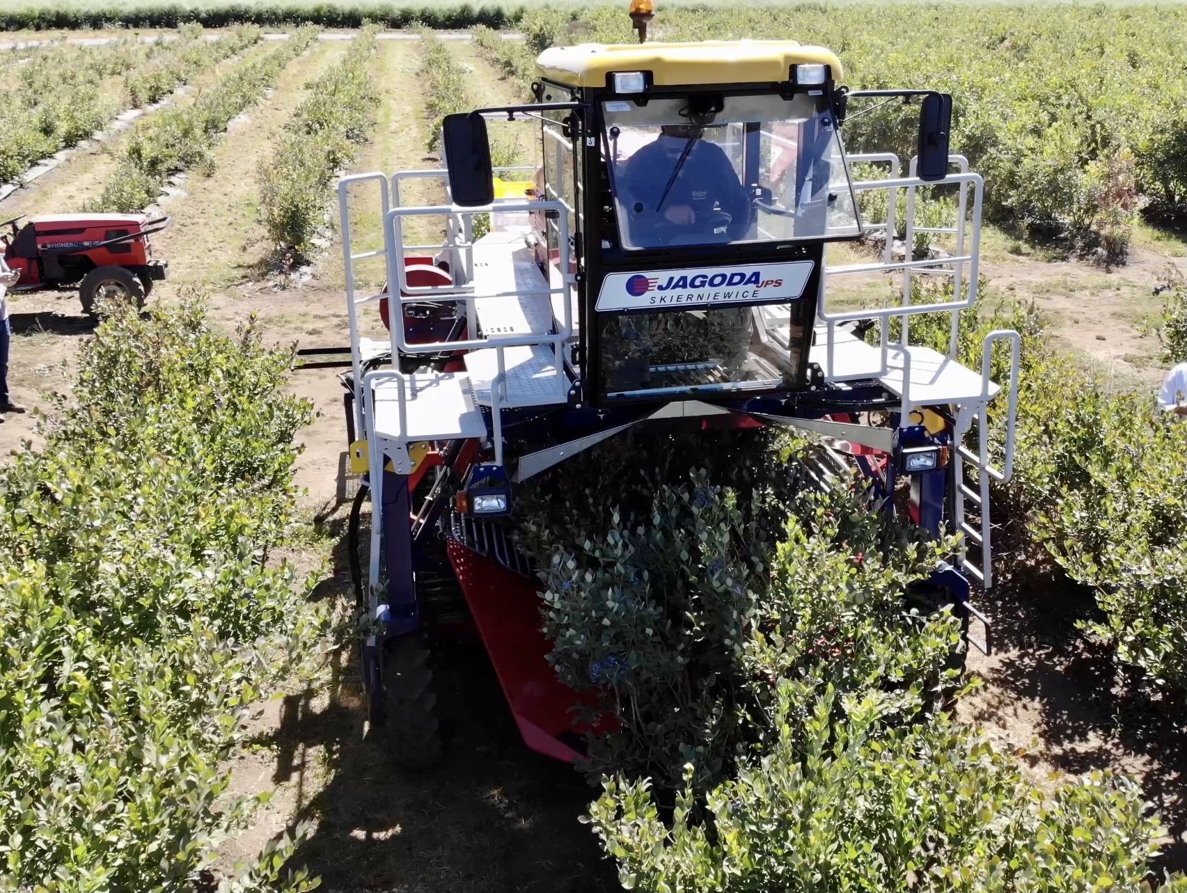 Récolteuse de myrtilles OSKAR 4WD Plus - Jagoda JPS Agromachines avec tête à secousses horizontales et moteur Doosan Stage V_0