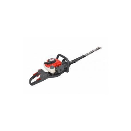 Taille haies thermique Hecht_0