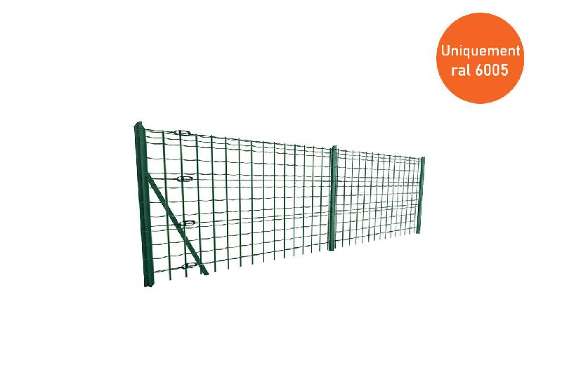 Grillage soudé maille 100x50mm Ral 6005 - 1200_0