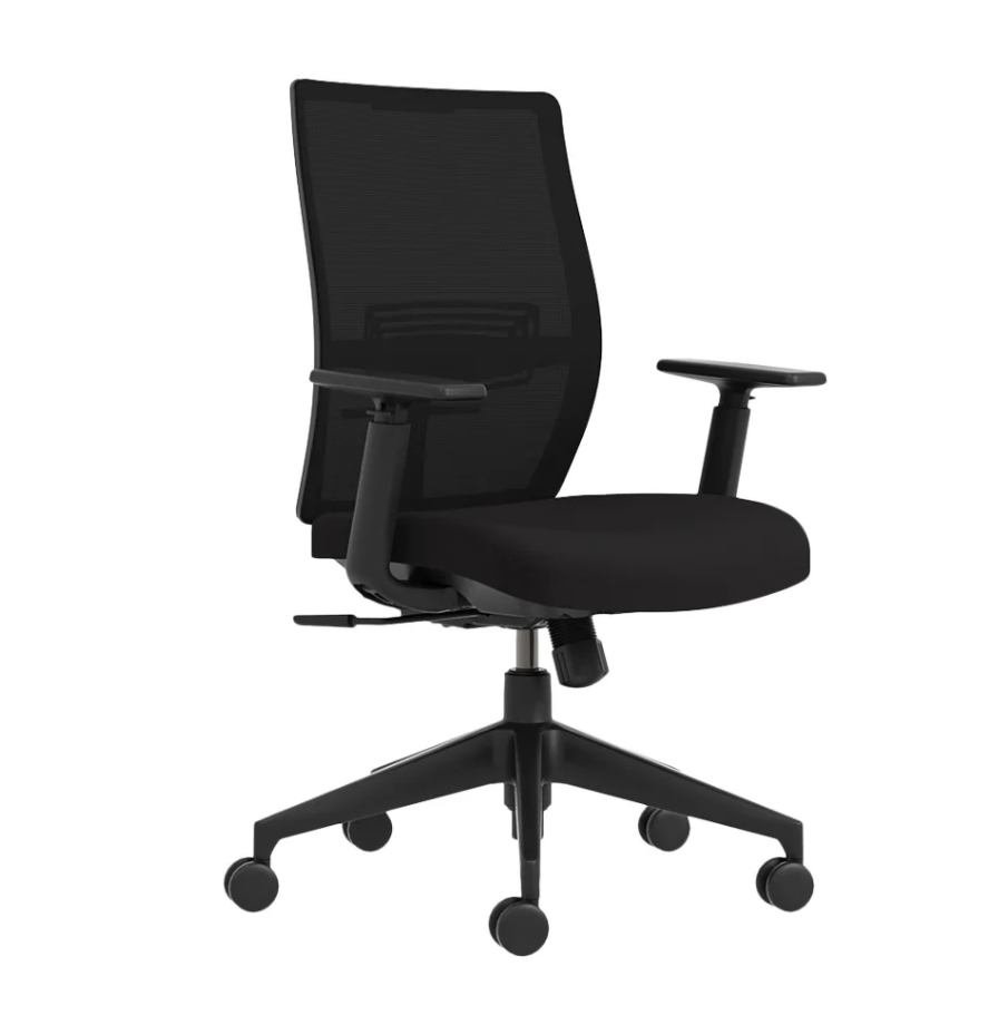 Fauteuil de bureau ergonomique - assise inclinable, réglages avancés et soutien lombaire_0