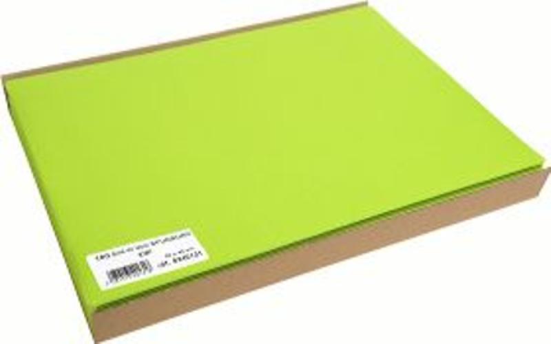 SET DE TABLE KIWI SPUNBOND 30X40 CM  (100 PIÈCES)
