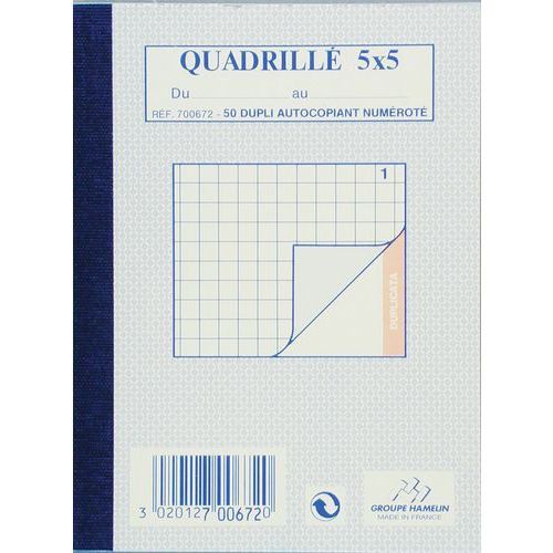 BLOC-NOTES QUADRILLÉ 5/5 DUPLI A6 100 PAGES