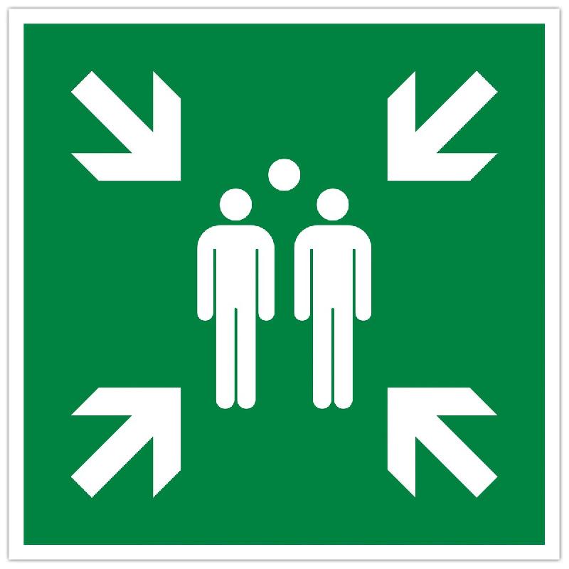 Exacompta - Réf. 67120E - 1 Panneau polypropylène non adhésif Point de rassemblement - 30x30 cm - Vert - vert 67120E_0