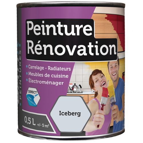 PEINTURE RENOVATION SATIN BATIR - 05L ICEBERG