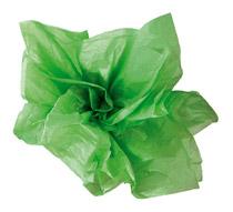 RAM480 FEUILLESOLIOPAPIERSOIE VERT POM - PAPIER DE SOIE COULEUR