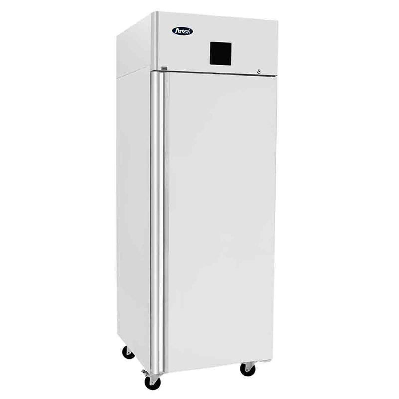 Armoire réfrigérée négative 1 porte 670l - PMBF8113GR_0