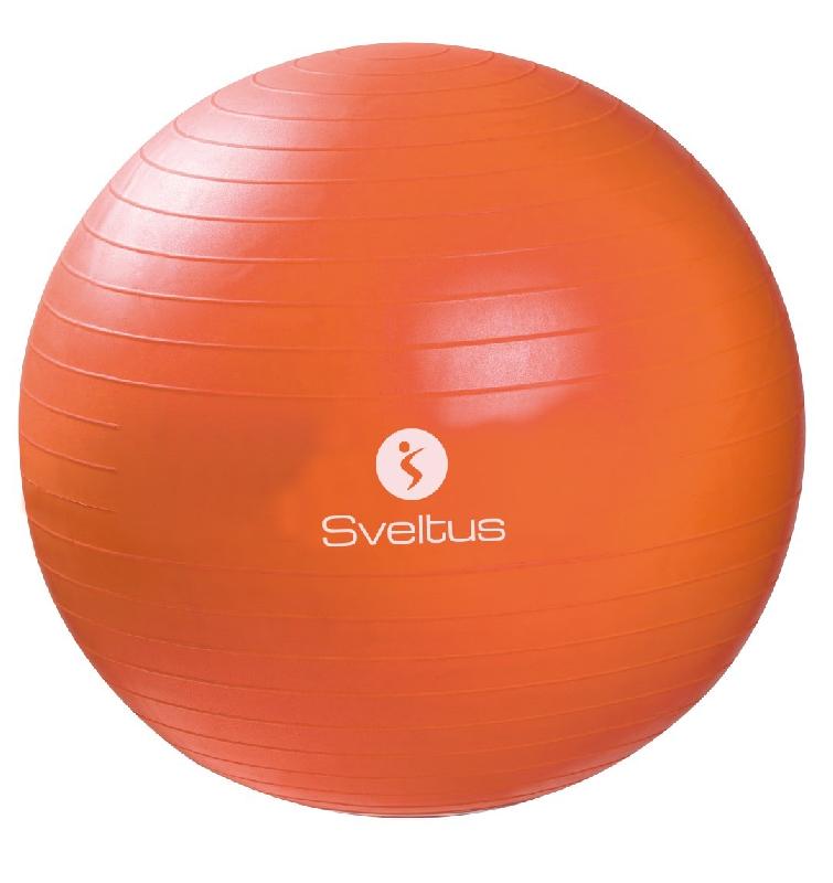 Ballon de gym 550 mm - BLLGYMPVCOG-SV02_0