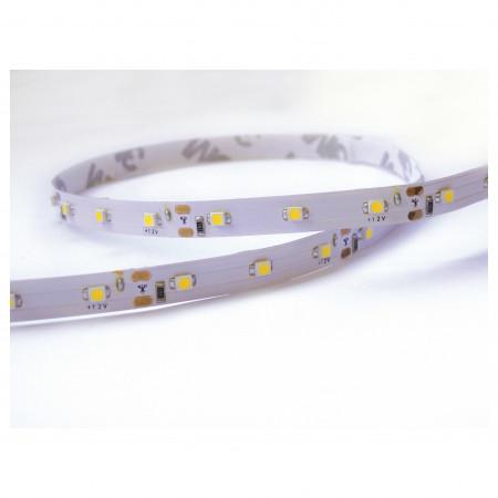 Bande led led strip in led smd 4.80w/m 3000k_0