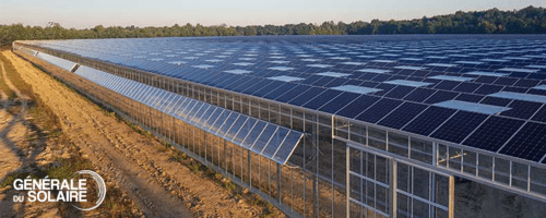 Serre agricole photovoltaïque clé en main - production d'électricité et protection des cultures_0