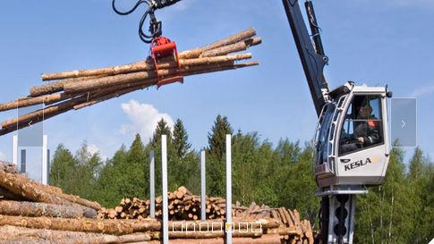 2009s - grues forestières - kesla -  à bras droit relève de la catégorie des 9 tonnes/mètres_0