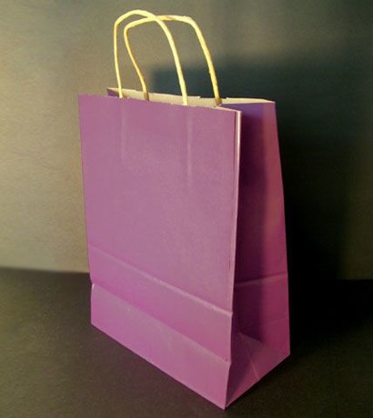 50 SACS 24 X 31 CM PRUNE