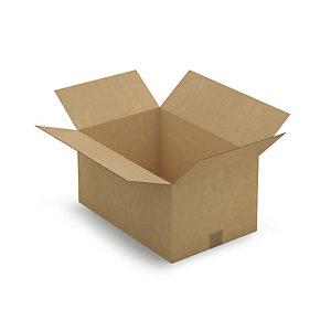 CAISSE CARTON BRUNE SIMPLE CANNELURE RAJA 50X33X25 CM