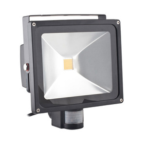 Projecteur LED COB 30W avec détecteur de lumière - Éclairage de chantier extérieur puissant et économique_0