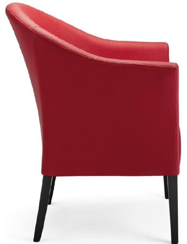 Fauteuil premium - entièrement rembourré_0