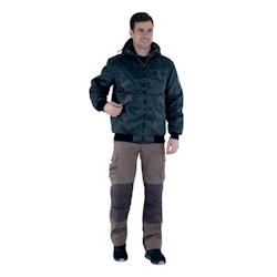 Lafont - Pantalon de travail HAKAN Marron / Gris Taille L - L marron 3609705926973_0