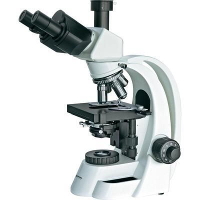 Microscopes électroniques - Comparez les prix pour professionnels
