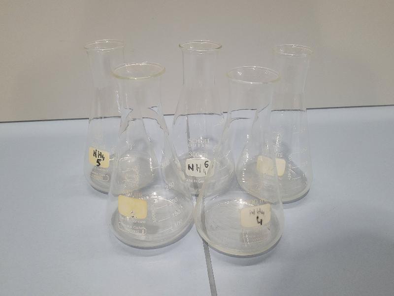 5 Fioles Erlenmeyer 300 ml col étroit Schott_0