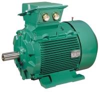 Moteurs asynchrones triphasés FLSES - Carter fonte - Haut rendement IE2, IE3 et IE4 - 0.75 à 675 kW_0