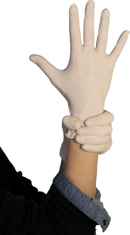 Boîte de 100 gants en latex poudrés blanc tl (8/9) - NOTRE SELECTION - 88825200 tl - 614957_0