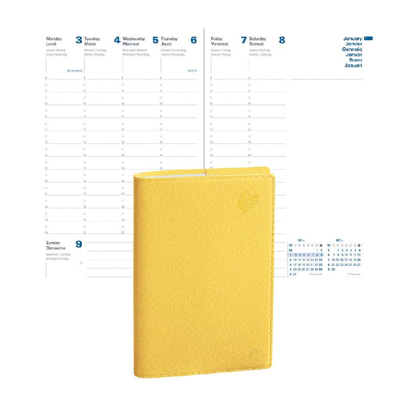 Recharge Agenda Semainier Equology Quo Vadis - Décembre 2024 à Décembre 2025 - 16x16 Cm Multilingue