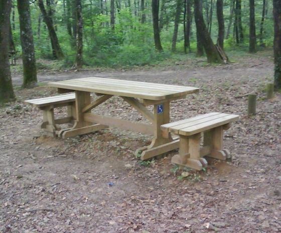Table publique clairière en pin sylvestre 200 x 80 cm - accessible PMR - classe IV - livrée montée_1