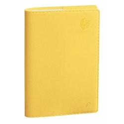 QUO VADIS ministre r rep ml equology jaune - 015958q_0