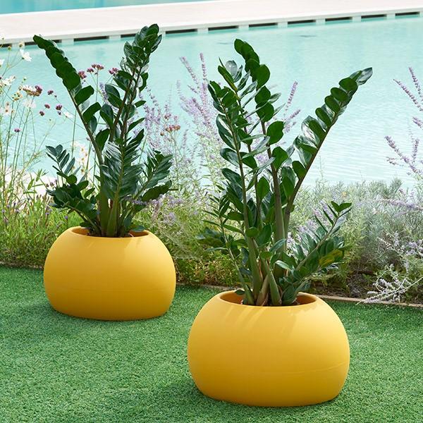 Pot blos design de  SLIDE_0