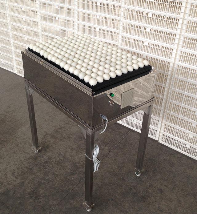 Table de séparation d'œufs immortels - contrôle éclairage embryon - inox - 150 œufs simultanés_0