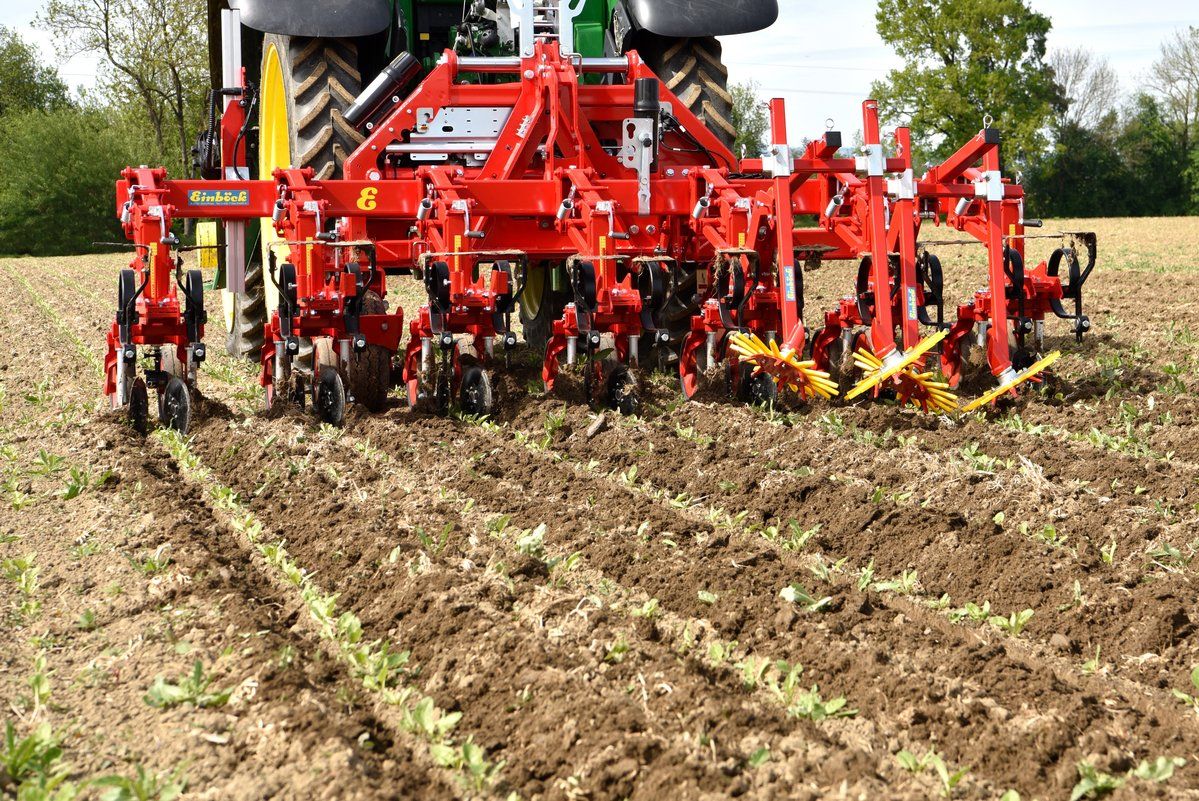 Chopstar Twin - Bineuses agricoles Einboeck - Inter-rangs jusqu'à 75 cm pour cultures spéciales_0
