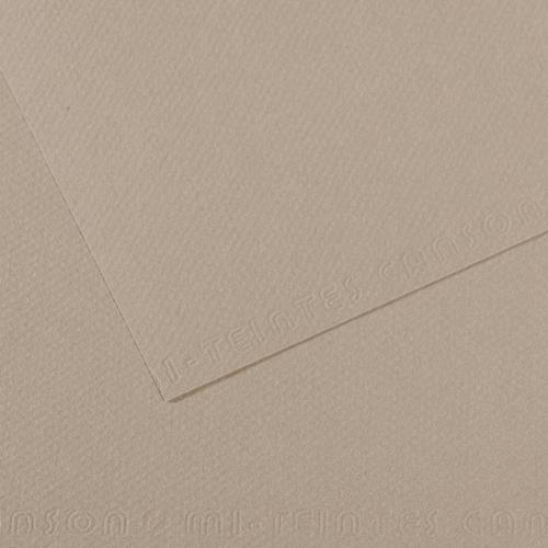 FEUILLE CANSON MI-TEINTES 50X65 160G GRIS FLANELLE 122