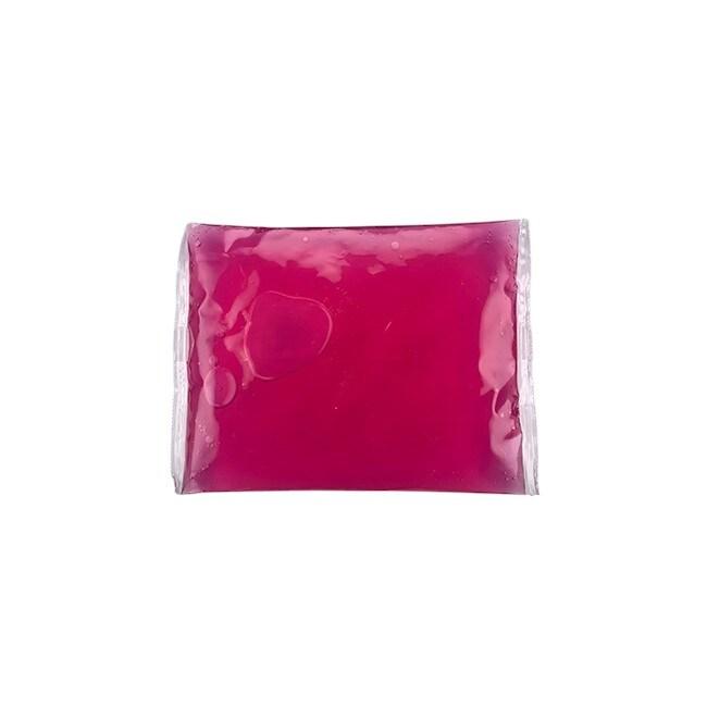 Gel Pack Réfrigérant Souple pour transport de produits surgelés - Liquide rouge - 400g - 20 x 15 x 3 cm - T°C rendue à -16°C - lot de 50 unités_0