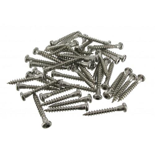 VIS POUR CONNECTEURS CSAS INOX - TÊTE TORX -1 BLISTER - 35 MM - 250 VIS SIMPSON STRONG-TIE