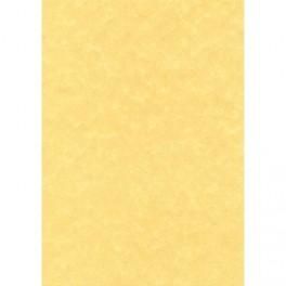 DECADRY BOÎTE DE 100 FEUILLES FORMAT 21X29,7 CM 95 GRAMMES PARCHEMIN OR