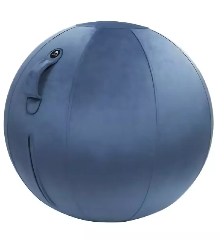 Ballon ergonomique ERGOBALL bleu prestige_0