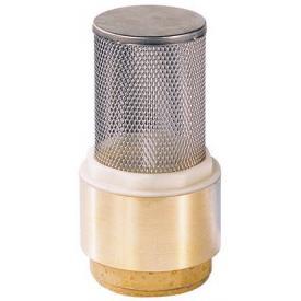 Clapet anti-retour hydraulique de pied crépine - Référence 495Y - Corps laiton, crépine inox_0