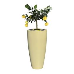 Plast&ampampamp#039Up Rotomoulage Pot de fleurs conique delight 200l - IVOIRE - beige 0637962082005_0