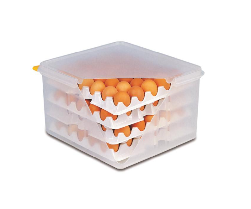 BOÎTE À ŒUFS APS GN 2/3