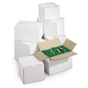 CAISSE CARTON BLANCHE DOUBLE CANNELURE RAJA