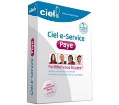 E-SERVICE PAYE 2012